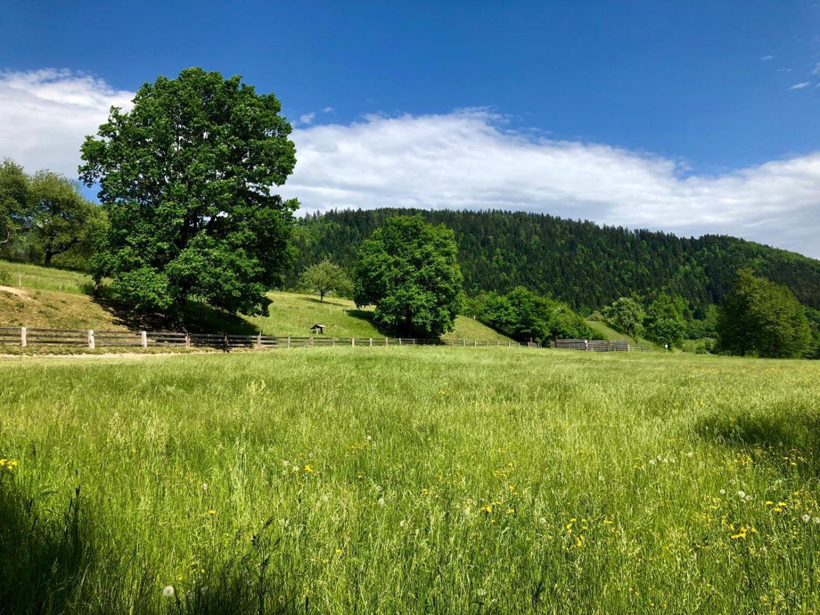 Hotel Glamping Savinja Ljubno Esterno foto