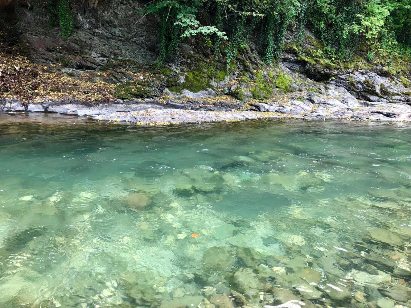 Hotel Glamping Savinja Ljubno Esterno foto