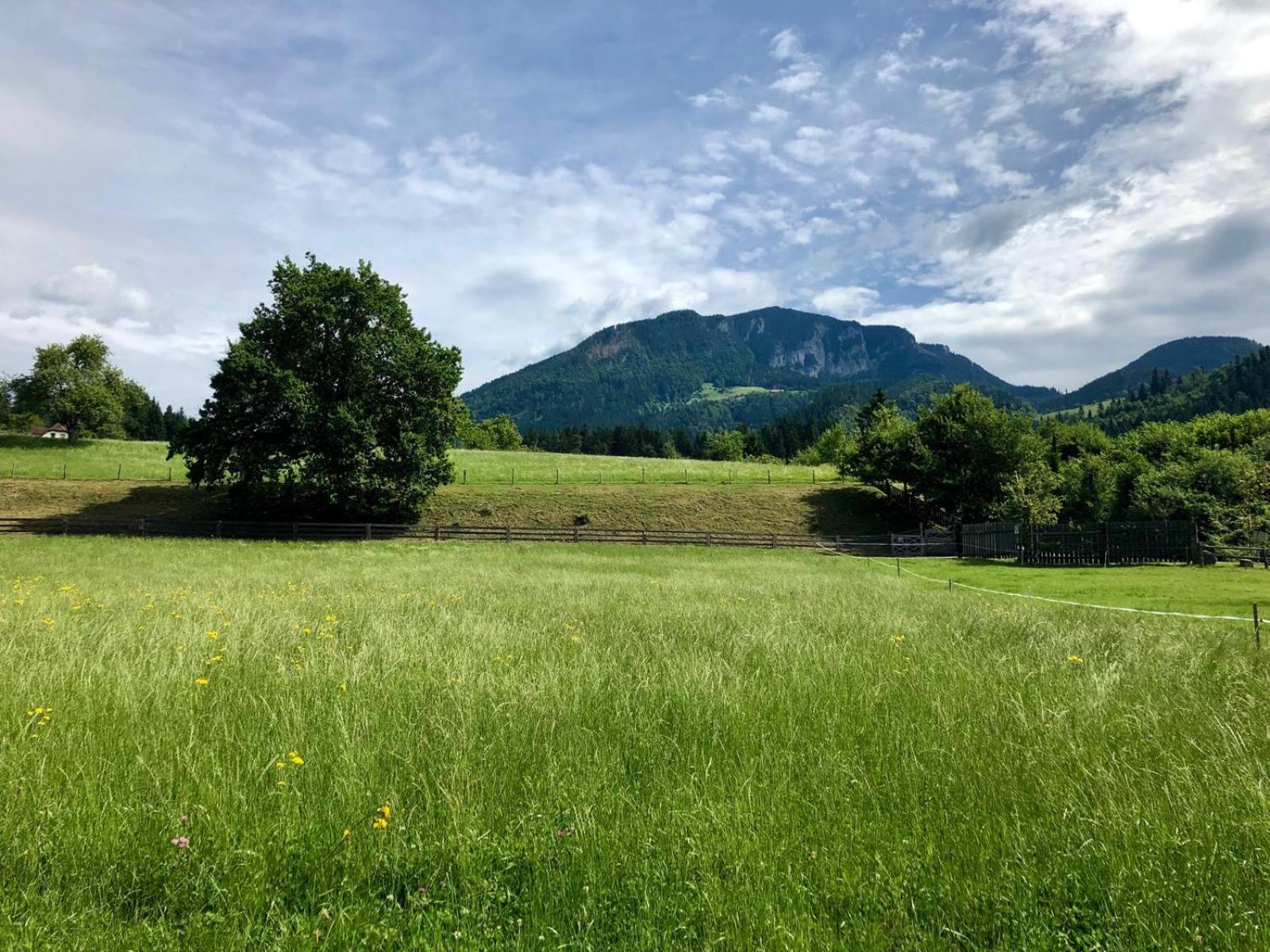Hotel Glamping Savinja Ljubno Esterno foto